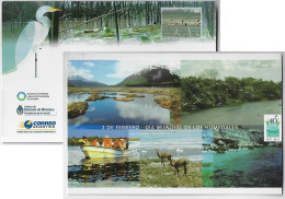 Argentina 2011 Postal Stationery Card World Wetlands Day Tourism Heron Flamingo Lake Vicuña Unused - Storchenvögel