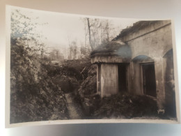 Verdun - Abris Du Kronprinz Dans Les Bois De La Grurie - Verdun