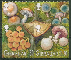 Gibraltar 2003 Einheimische Pilze 1054/57 Postfrisch - Gibilterra