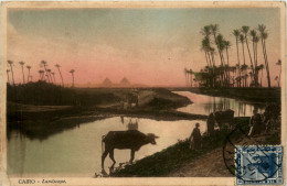 Cairo - Landscape - Le Caire