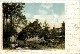 Landschaft In Lehde - Gruss Aus Dem Spreewald - Luebbenau