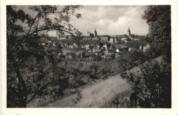 Hopfenstadt Saaz - Böhmen Und Mähren