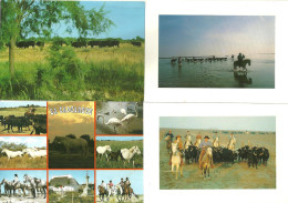 LOT 10 CPSM/CPM CAMARGUE MANADE CHEVAUX TAUREAUX GARDIANS - Viehzucht