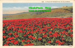 R430206 529. A Field Of Poinsettias In California. Western Publishing And Novelt - Mondo