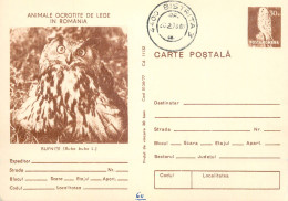 Postal Stationery Postcard Romania Owl Bird Bubo Bubo - Roemenië