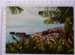 Madeira, Camara De Lobos: Aidela Piscatoria - Fishing Village  - Portugal, República Portuguesa - Madeira