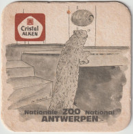 Viltje  Cristal Alken  Zoo Antwerpen - Portavasos
