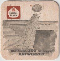 Viltje  Cristal Alken  Zoo Antwerpen - Beer Mats