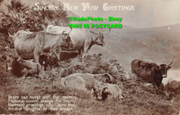 R430594 Sincere New Year Greetings. Years Can Never Dim The Memry Distance Canno - Wereld