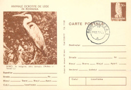 Postal Stationery Postcard Romania Starc Grey Ardea Cinerea - Roumanie