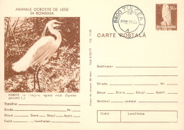 Postal Stationery Postcard Romania Egreta Egretta Garzetta - Roumanie