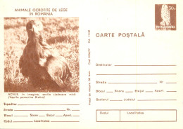 Postal Stationery Postcard Romania Acvila Aquila Pomarina Brehm - Roemenië