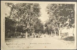 Montluel Promenade Des Tilleuls - Montluel