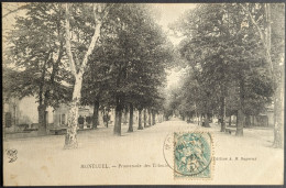 Montluel Promenade Des Tilleuls - Montluel