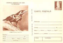 Postal Stationery Postcard Romania Raven Corvus Corax - Rumania