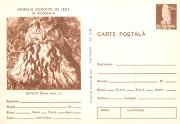 Postal Stationery Postcard Romania Owl Bird Bubo Bubo - Rumania