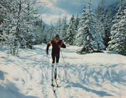 Sports D'hiver * CP * Ski , Skieur , Fondeur Solitaire En Auvergne - Winter Sports