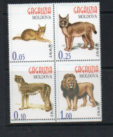 MOLDOVA  LOCALS  - GAGAUZIA - WWF  BIG CATS SET OF 4  IN BLOCK   MINT NEVER HINGED - Moldavia