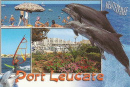 *CPM - 11 - LEUCATE - Port Leucate - Multivues - Dauphins - Leucate