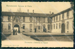 Pavia Certosa Di Cartolina QT0036 - Pavia