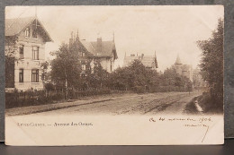 BELGIQUE , LIEGE COINTE , AVENUE DES ORMES , LOT 186 - Liege