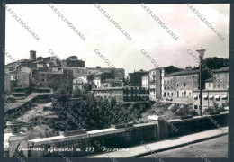 Grosseto Gavorrano Foto FG Cartolina ZF4562 - Grosseto