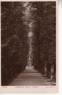 A14.Vintage Postcard.Trinity Avenue, Cambridge. - Cambridge
