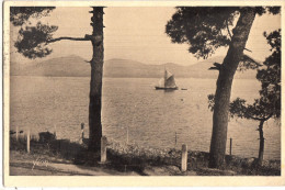 A77. Vintage French Postcard. View Of Saint Tropez - Cote D'Azur - Saint-Tropez