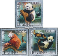 Guinea 10371-10373 (kompl. Ausgabe) Postfrisch 2014 Pandas - Guinée (1958-...)