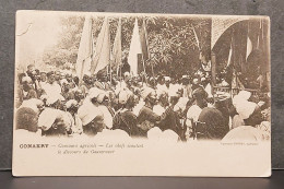 CONAKRY , CONCOURS AGRICOLE , LES CHEFS ECOUTENT LE DISCOURS DU GOUVERNEUR , 186 - French Guinea