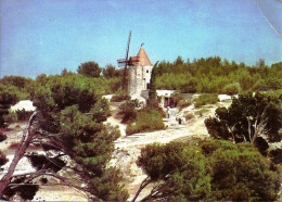 *CPM  - 13 - FONTVIELLE - Moulin De Daudet - Fontvieille