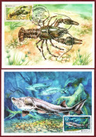 Moldova 2024 "Europa" Underwater Flora And Fauna. 2 Maxicards Quality:100% - Moldova