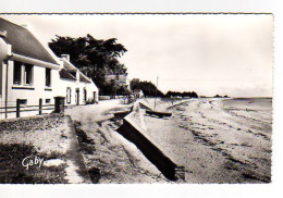 S16-023 Sarzeau - Plage De Roaliguen - Sarzeau