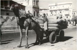 Karachi - Camel Cart - Pakistán