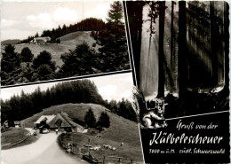 Münstertal - Almgaststätte Kälbelescheuer - Münstertal