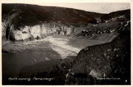 Flamborough - North Landing - Other & Unclassified