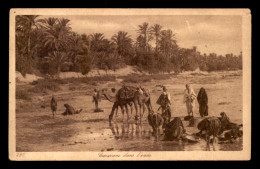 SCENES ET TYPES - SAHARA - LEHNERT ET LANDROCK - CARAVANE DANS L'OASIS - CHAMEAUX - Afrique