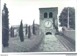 P227 Bozza Fotografica Castiglione Delle Stiviere  Provincia Di Mantova - Mantova