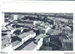 P187 Bozza Fotografica Ostiglia  Provincia Di Mantova - Mantova