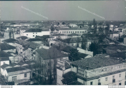 P281 Bozza Fotografica Suzzara Veduta Parziale  Provincia Di  Mantova - Mantova