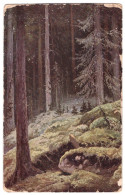 RUSSIA Before 1940 IVAN SHISHKIN IN THE FOREST WILD POSTCARD UNUSED - Peintures & Tableaux