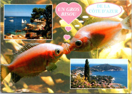 20-4-2024 (2 Z 31) France - Poissons Et Côte D'Azur (fish) - Pescados Y Crustáceos