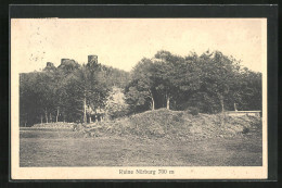 AK Nürburg, Ruine Nürburg  - Autres & Non Classés