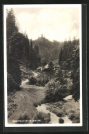 AK Bad Teichnach-Zavelstein, Blick Zur Ruine Zavelstein  - Otros & Sin Clasificación