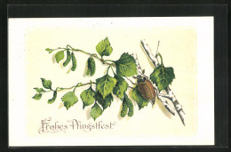 AK Fröhliches Pfingstfest, Maikäfer Krabbelt Auf Einem Zweig  - Insekten