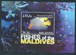 2007	Maldive Islands	4564/B603	Sea Fauna - Marine Life