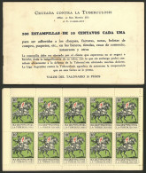 ARGENTINA: Argentine League Of Fight Against Tuberculosis: Charity Cinderella Of 10c. Of Year 1935, Complete Booklet Of  - Cinderellas