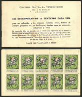 ARGENTINA: Argentine League Of Fight Against Tuberculosis: Charity Cinderella Of 10c. Of Year 1935, Complete Booklet Of  - Erinofilia