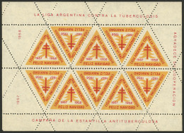 ARGENTINA: Argentine League Of Fight Against Tuberculosis: Charity Cinderella Of Year 1957, Complete Sheet Of 10 Labels, - Erinnophilie