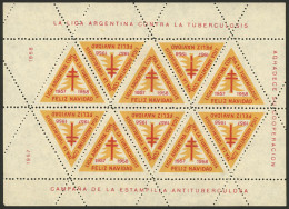 ARGENTINA: Argentine League Of Fight Against Tuberculosis: Charity Cinderella Of Year 1957, Complete Sheet Of 10 Labels, - Erinofilia